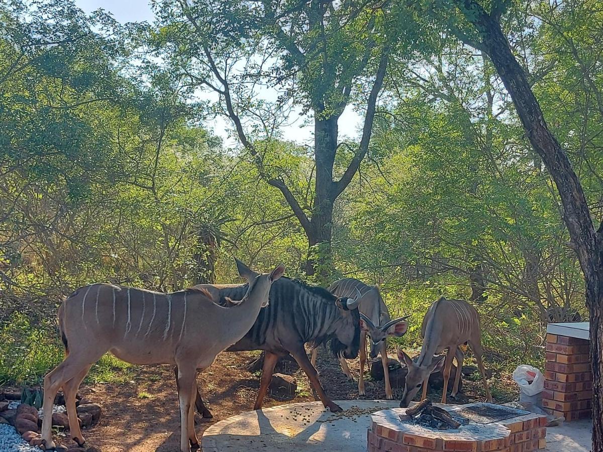 Holiday home 3714 @ribbok Marloth Park